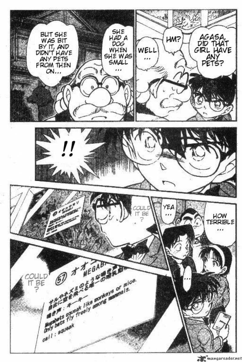 Detective Conan 411 15