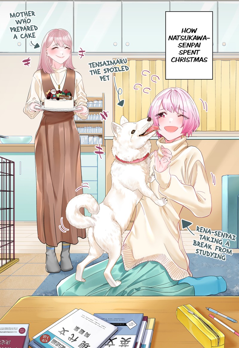 Dosanko Gyaru Ha Namaramenkoi 100f 2