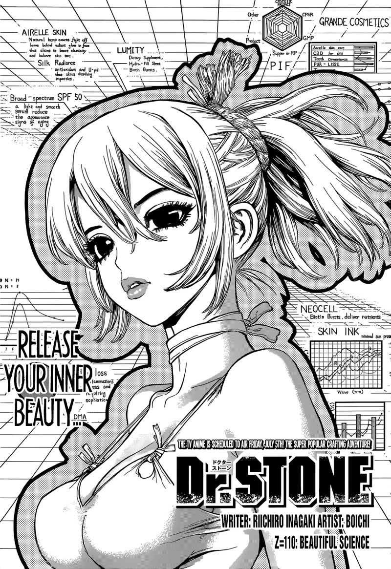 Dr Stone 110 1