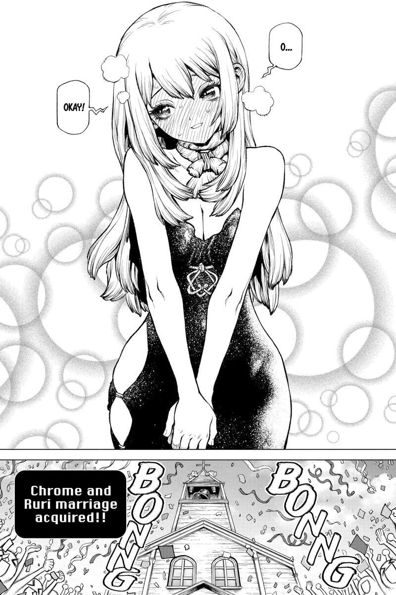 Dr Stone 234 24