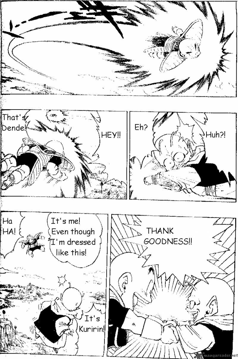 Dragon Ball 291 14