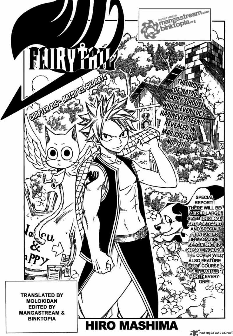 Fairy Tail 205 1
