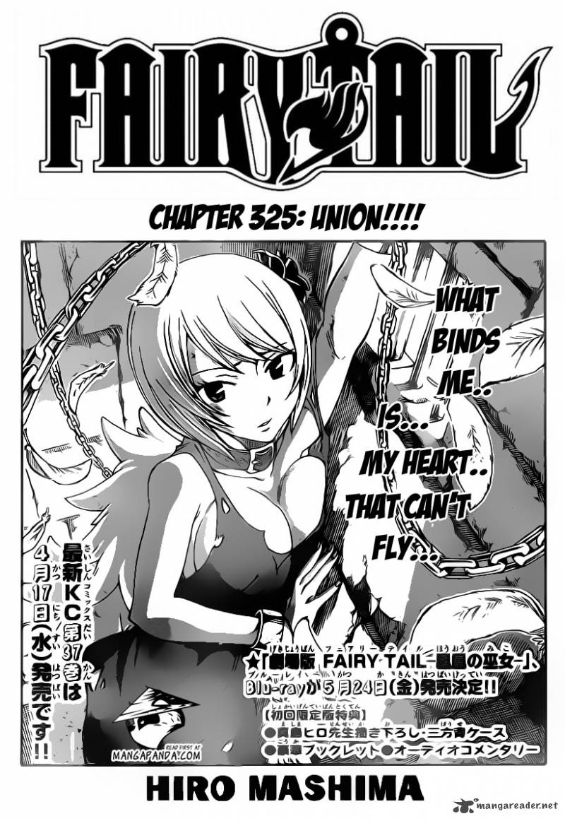 Fairy Tail 325 3