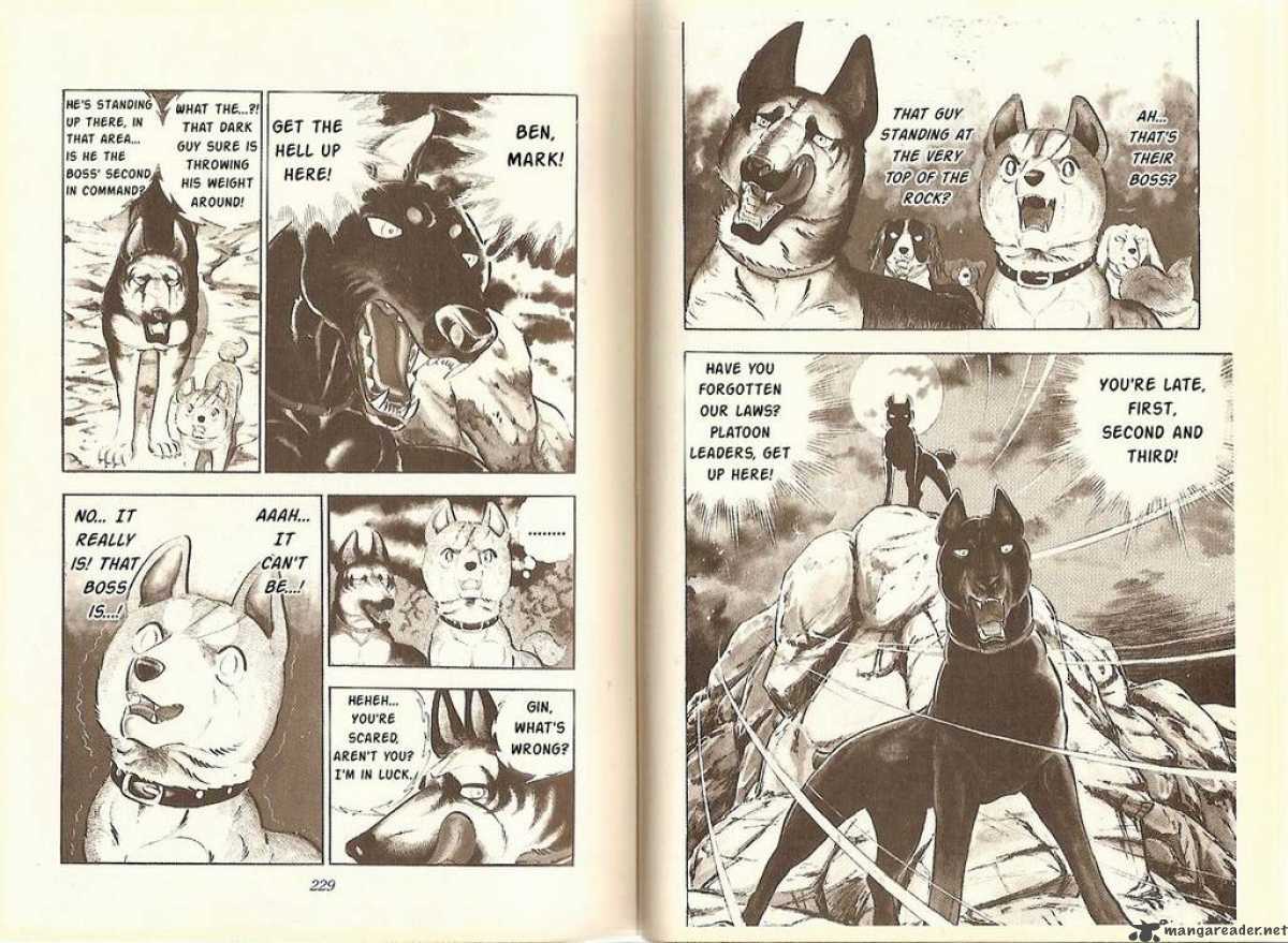 Ginga Nagareboshi Gin 11 4