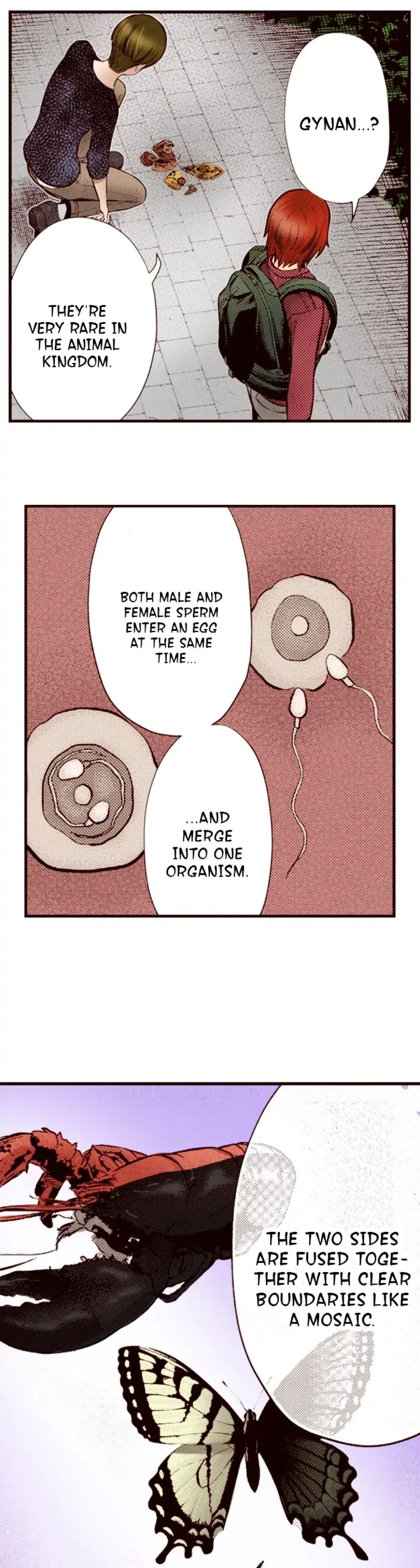 Giniro No Genders 72 7