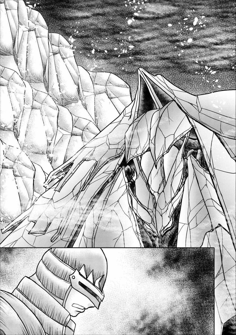 Guild No Cheat Na Uketsukejou 12 19