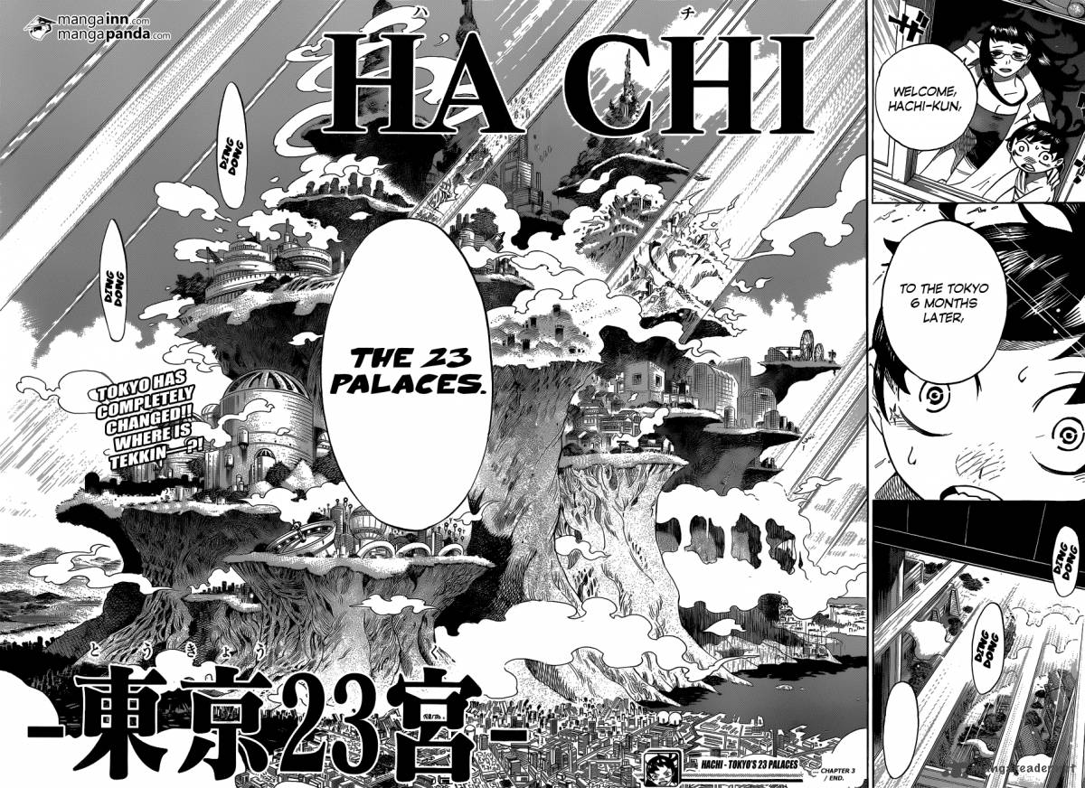 Hachi 3 21