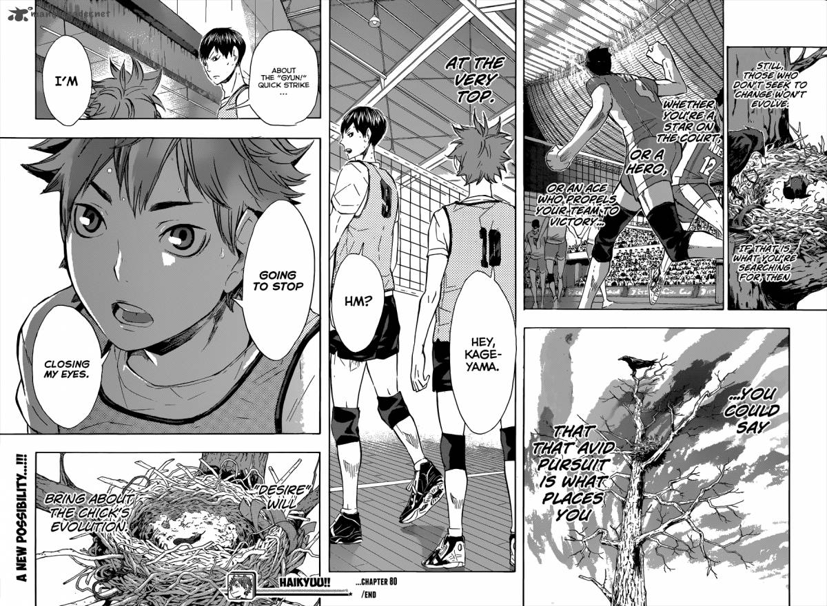 Haikyu 80 20