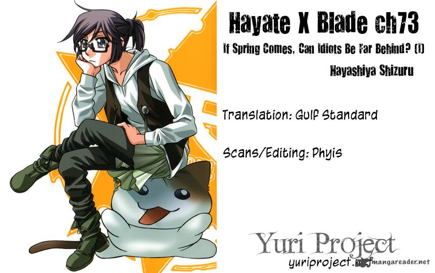 Hayate X Blade 73 33