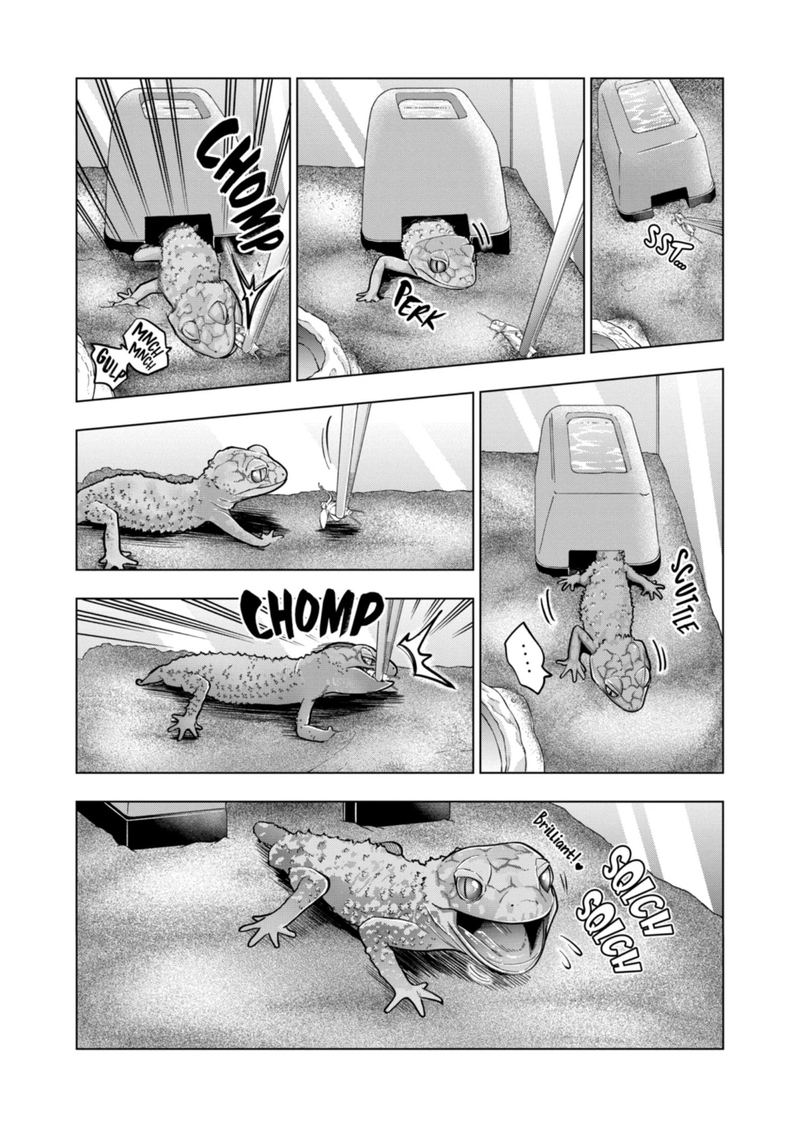 Himitsu No Reptiles 116 5