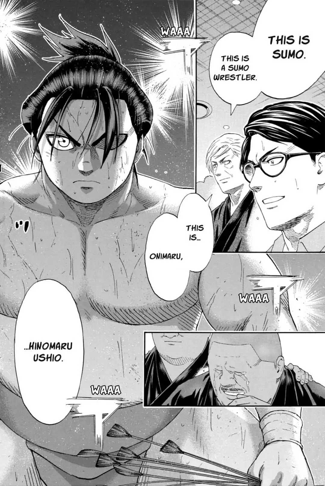 Hinomaru Zumou 250 12