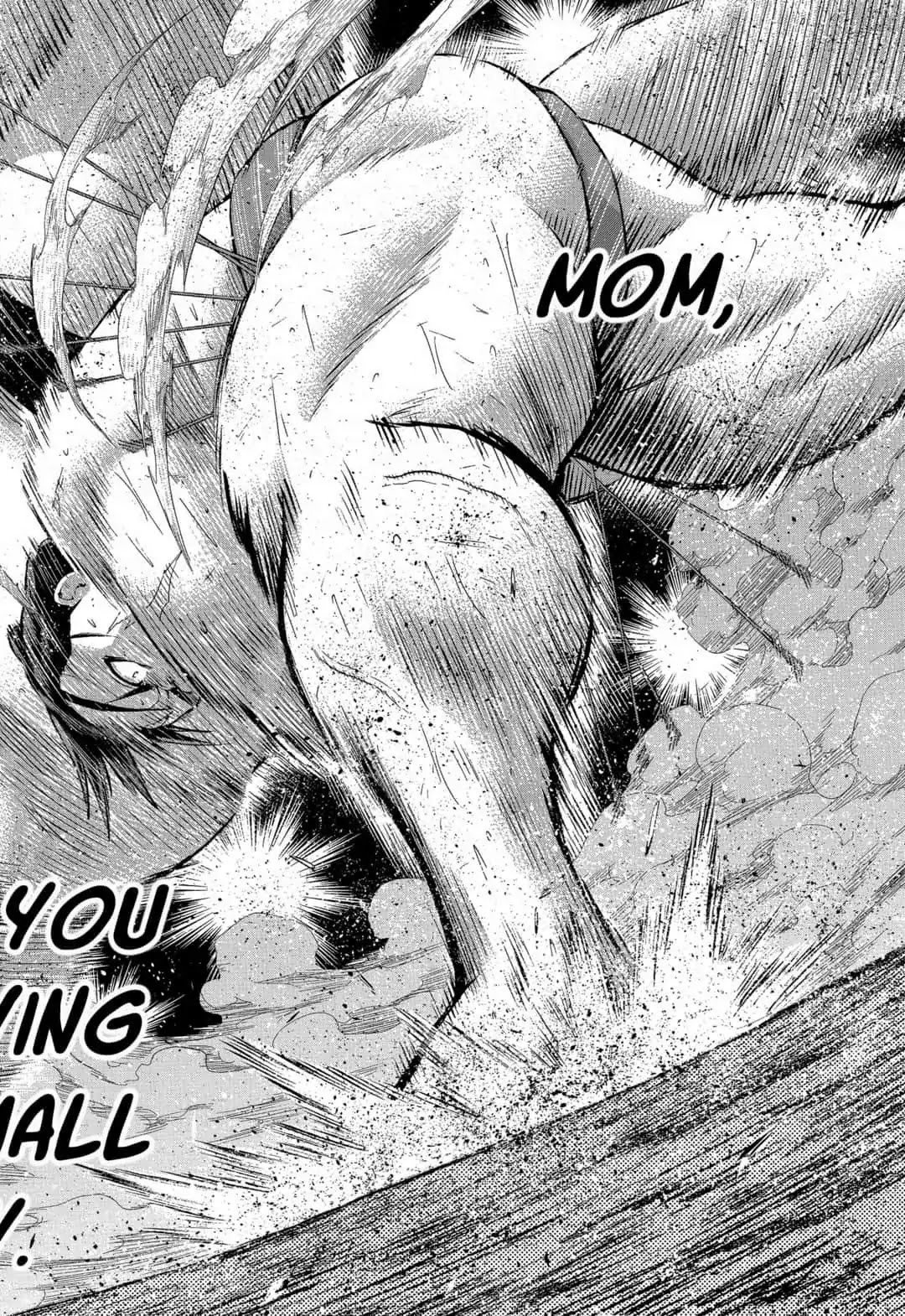 Hinomaru Zumou 250 8