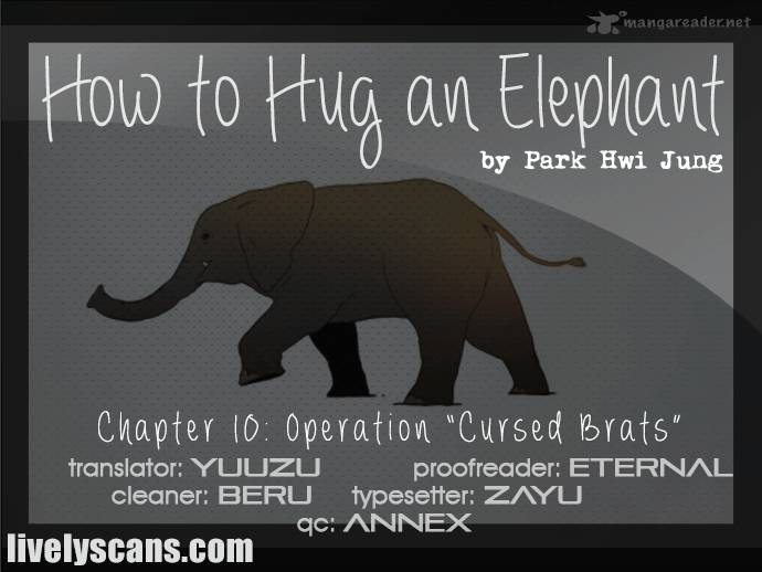 How To Hug An Elephant 10 2