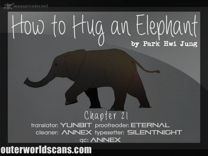 How To Hug An Elephant 21 1