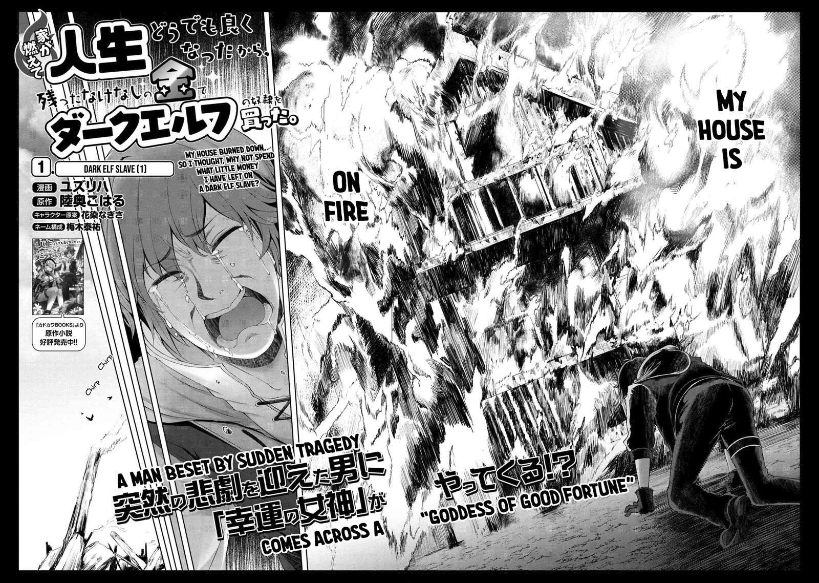 Ie Ga Moete Jinsei Dou Demo Yoku Natta Kara Nokotta Nakenashi No Kin De Dark Elf No Dorei O Katta 1 3