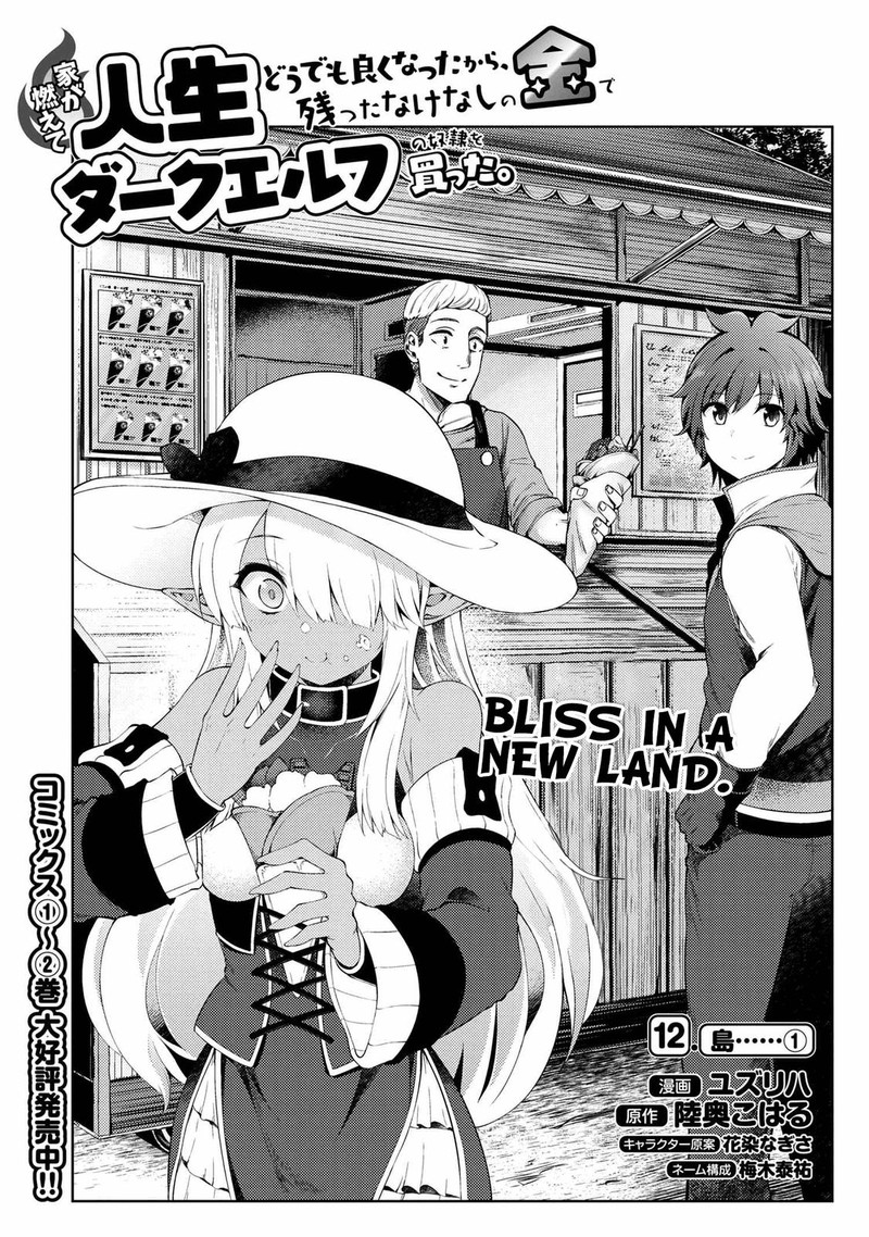 Ie Ga Moete Jinsei Dou Demo Yoku Natta Kara Nokotta Nakenashi No Kin De Dark Elf No Dorei O Katta 12a 1