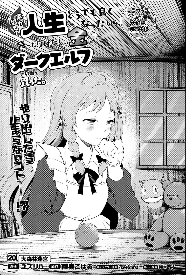 Ie Ga Moete Jinsei Dou Demo Yoku Natta Kara Nokotta Nakenashi No Kin De Dark Elf No Dorei O Katta 20a 1
