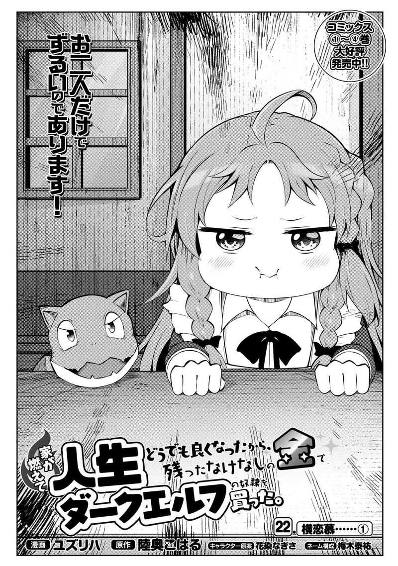 Ie Ga Moete Jinsei Dou Demo Yoku Natta Kara Nokotta Nakenashi No Kin De Dark Elf No Dorei O Katta 22a 2