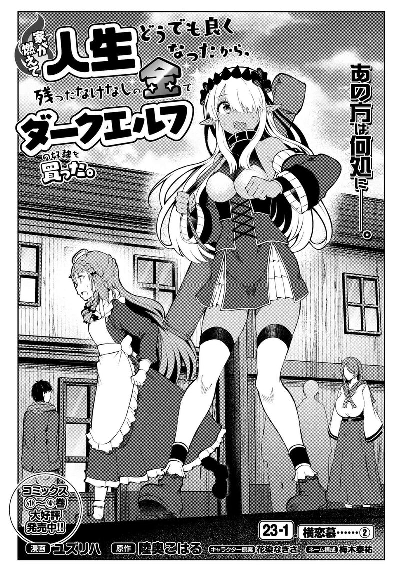 Ie Ga Moete Jinsei Dou Demo Yoku Natta Kara Nokotta Nakenashi No Kin De Dark Elf No Dorei O Katta 23a 2