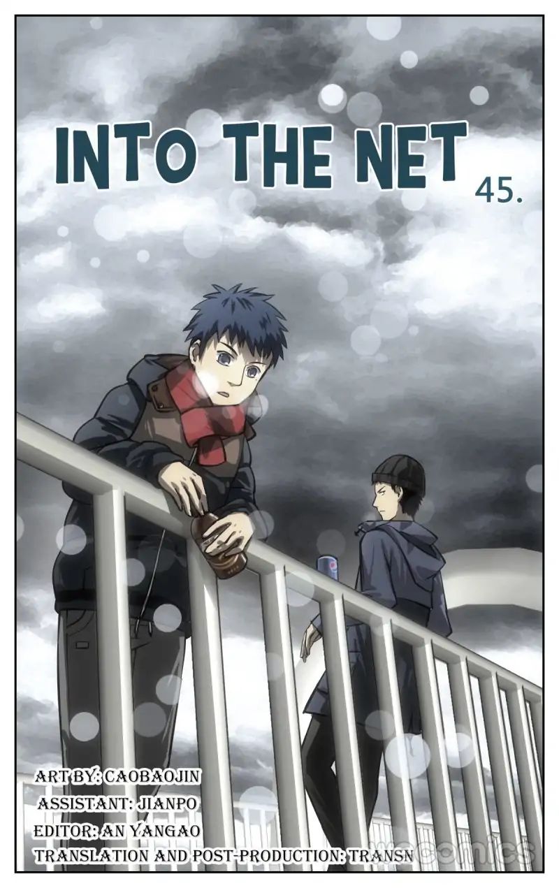 Into The Net 45 1