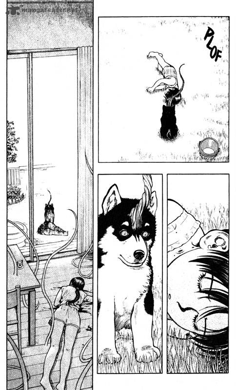 Inugami 11 136