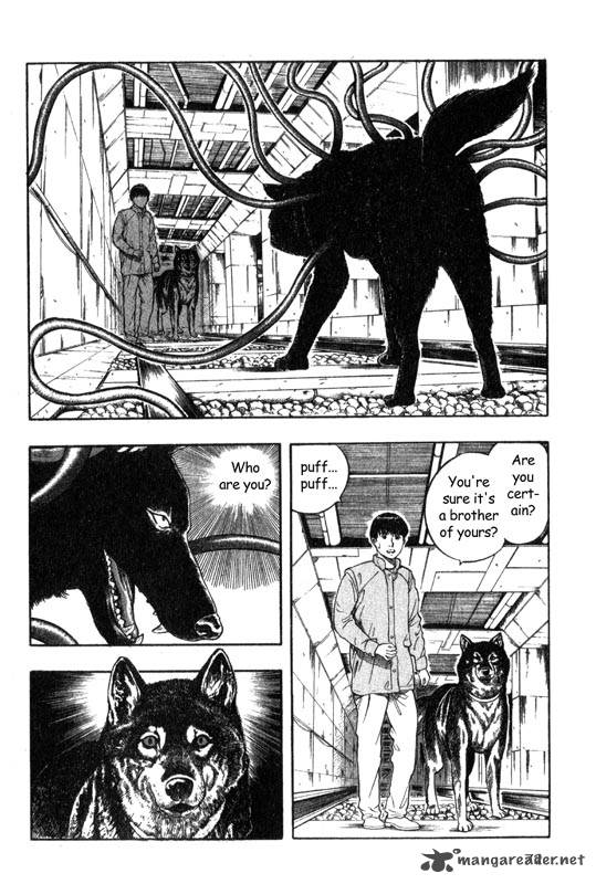 Inugami 2 70