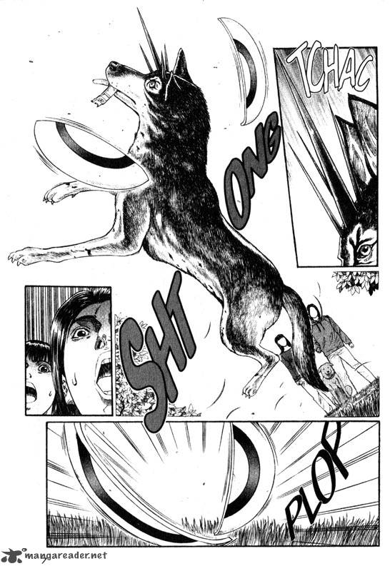 Inugami 3 8