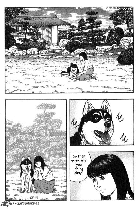 Inugami 5 21