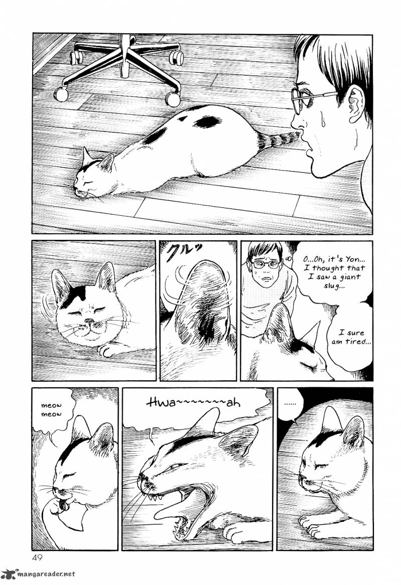 Ito Junjis Cat Diary 5 3
