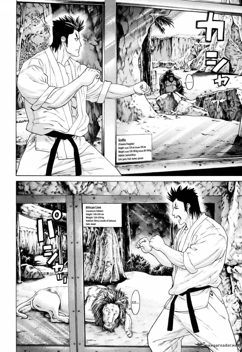 Karate Shoukoushi Kohinata Minoru 251 8