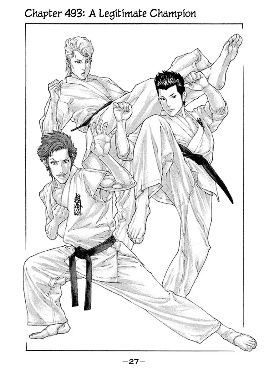 Karate Shoukoushi Kohinata Minoru 493 1