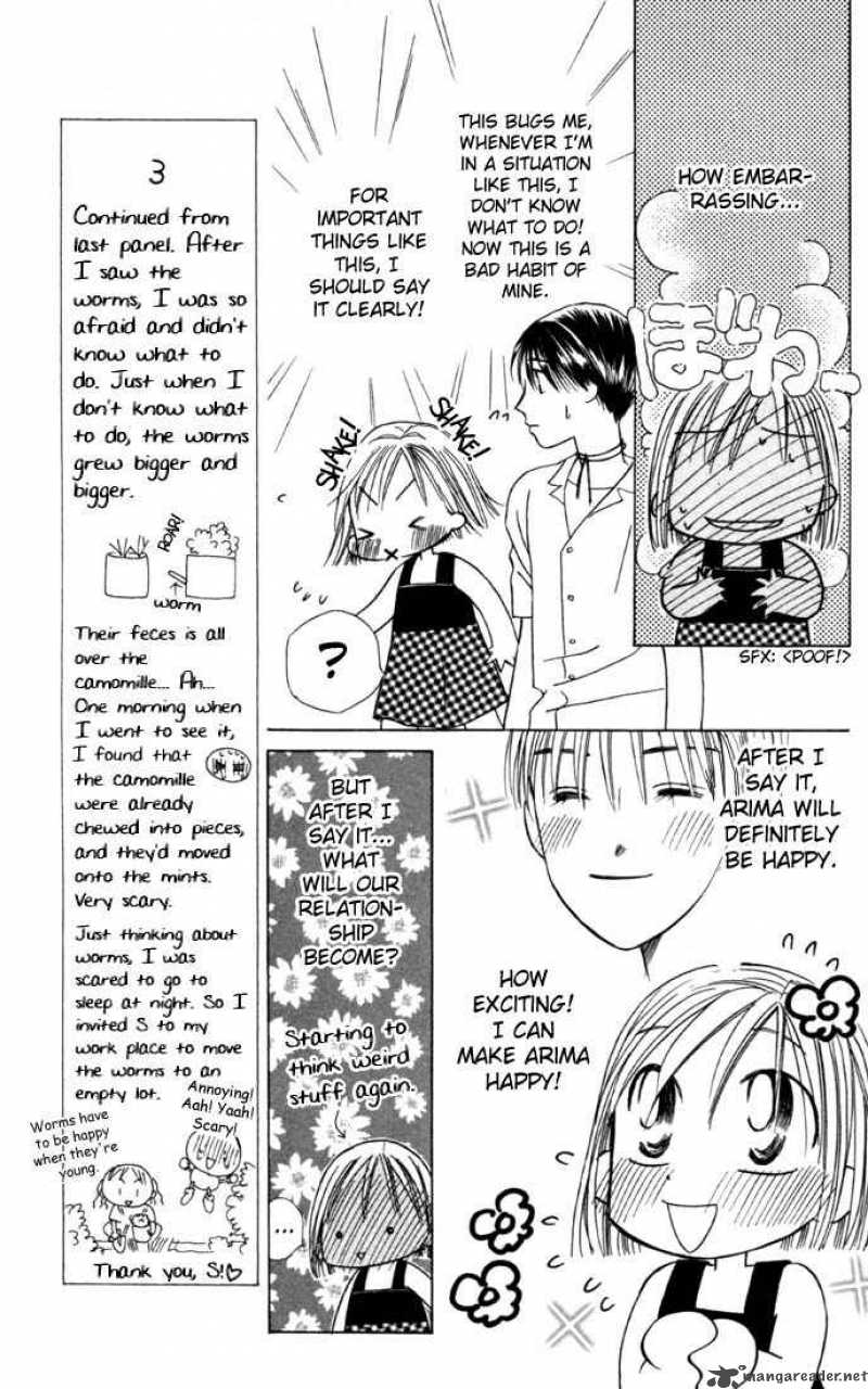 Kare Kano 24 20