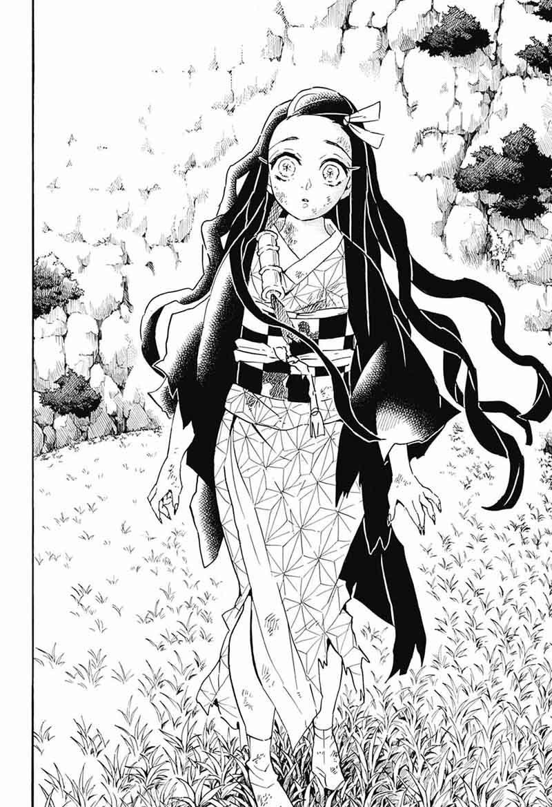 Kimetsu No Yaiba 126 17