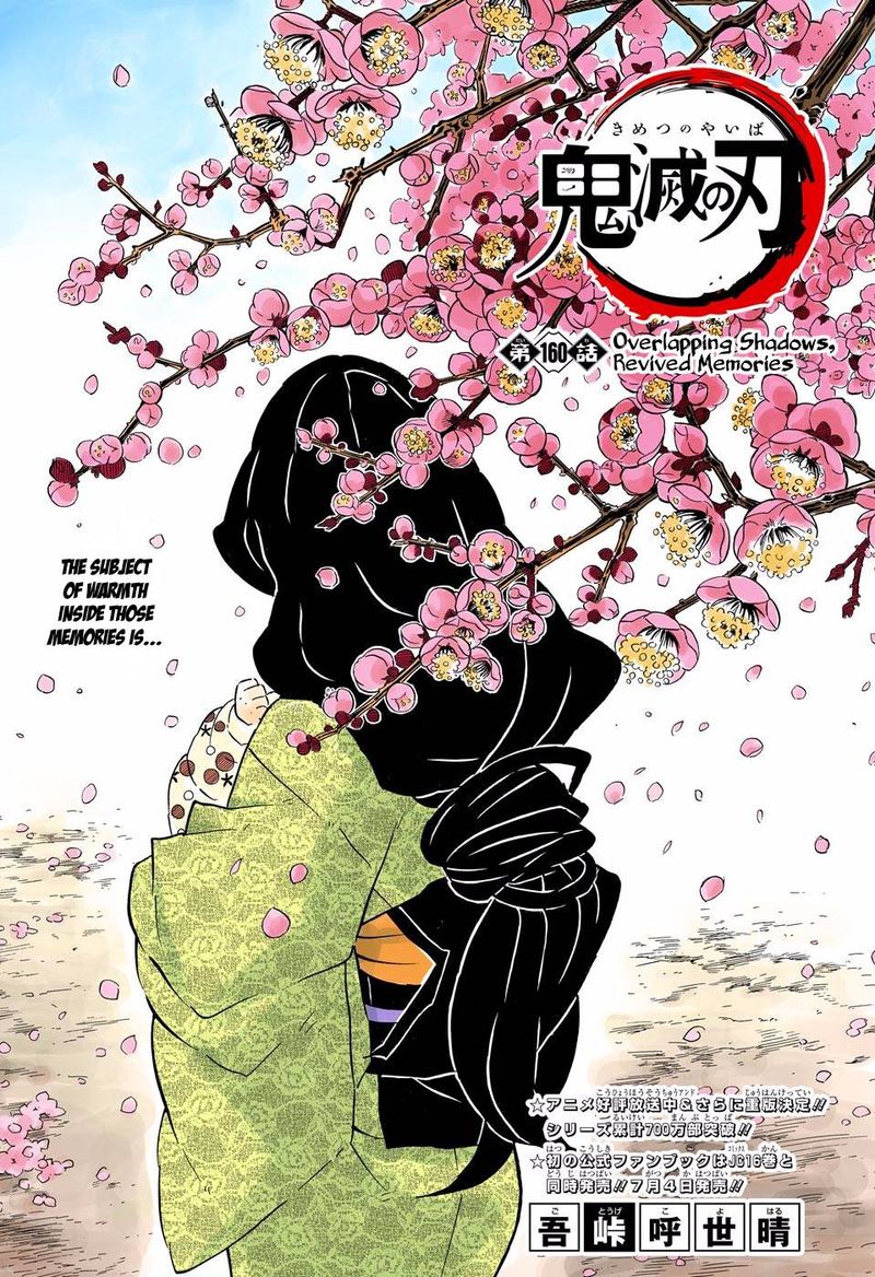 Kimetsu No Yaiba Digital Colored Comics 160 1