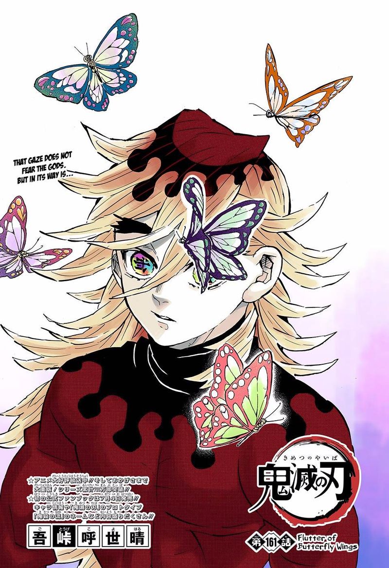 Kimetsu No Yaiba Digital Colored Comics 161 1