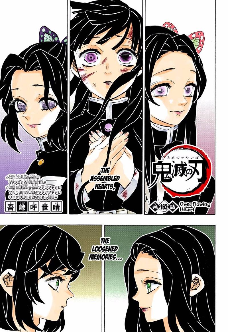 Kimetsu No Yaiba Digital Colored Comics 163 1