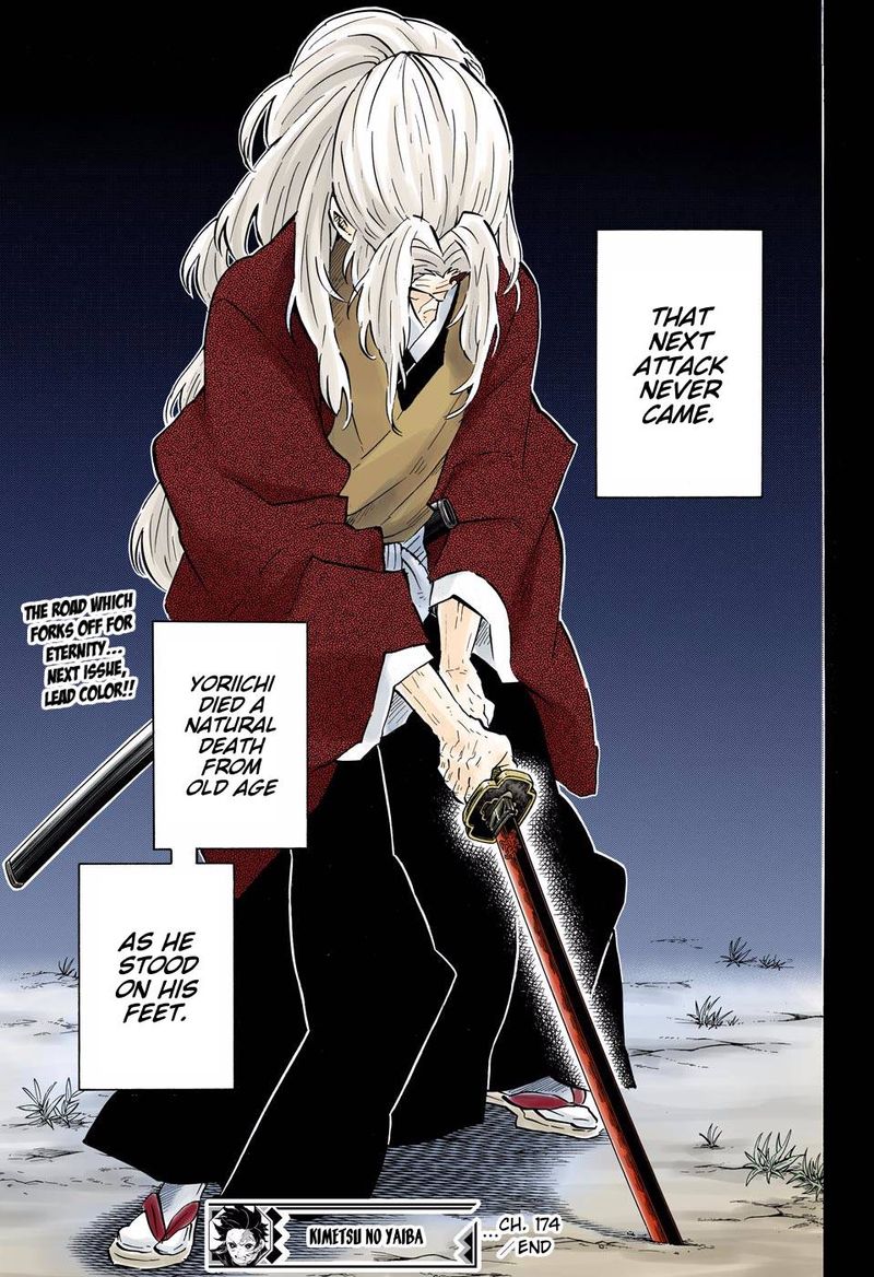 Kimetsu No Yaiba Digital Colored Comics 174 19