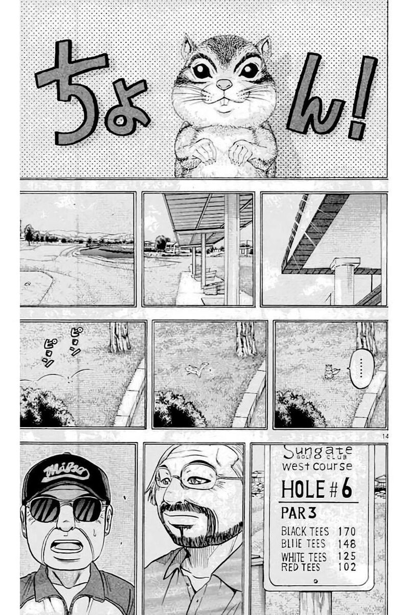King Golf 205 15