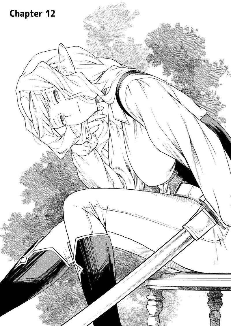 Kishi Danchou No Elf San Datte Otome Ga Shitai 12 1