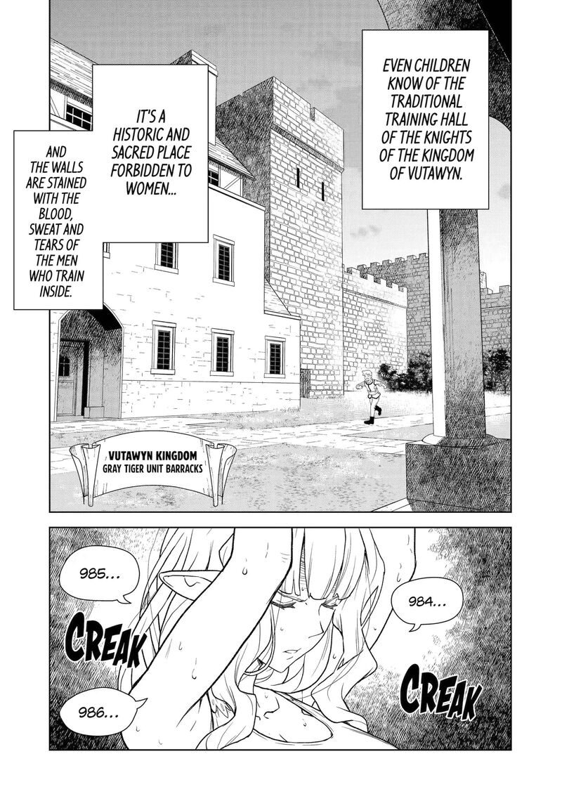 Kishi Danchou No Elf San Datte Otome Ga Shitai 3 1