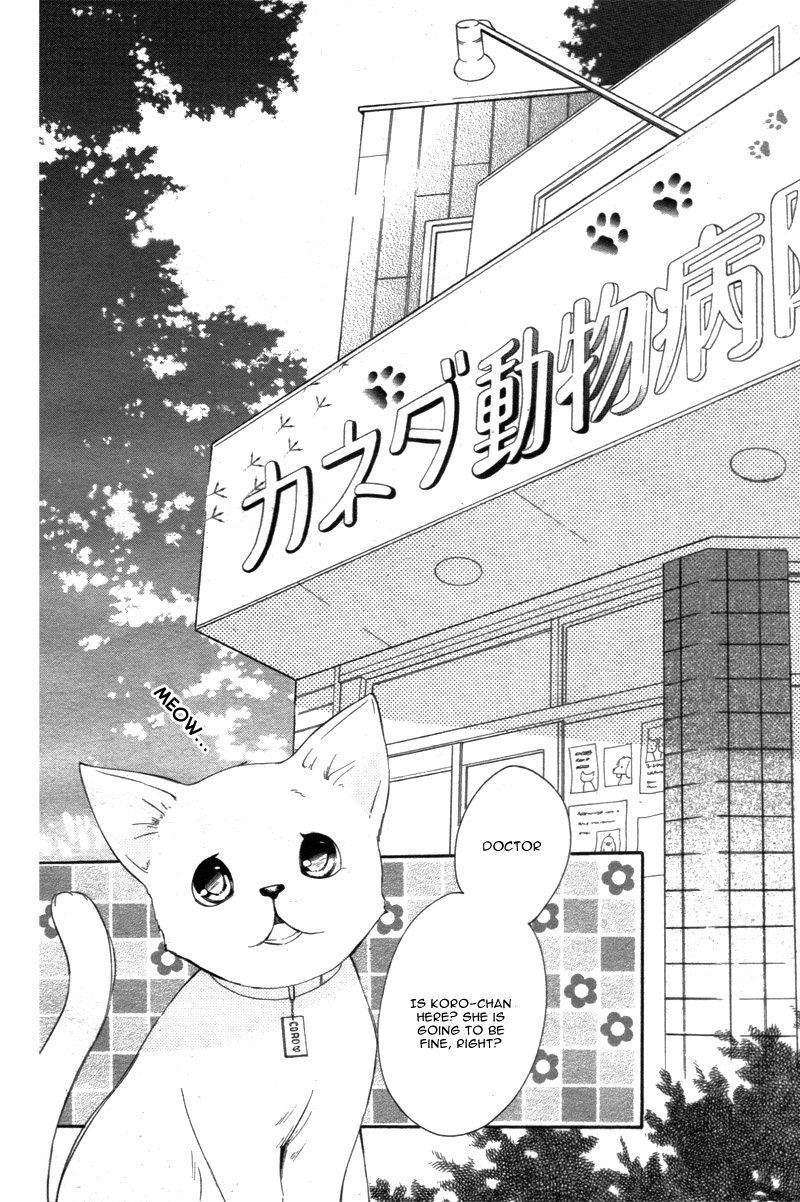 Koi Toka Kiss Toka Karada Toka 15 26