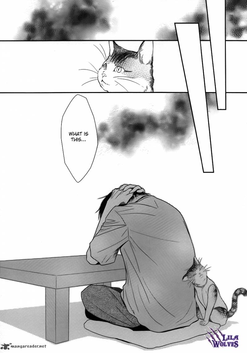 Kore Wa Koi No Hanashi 37 39