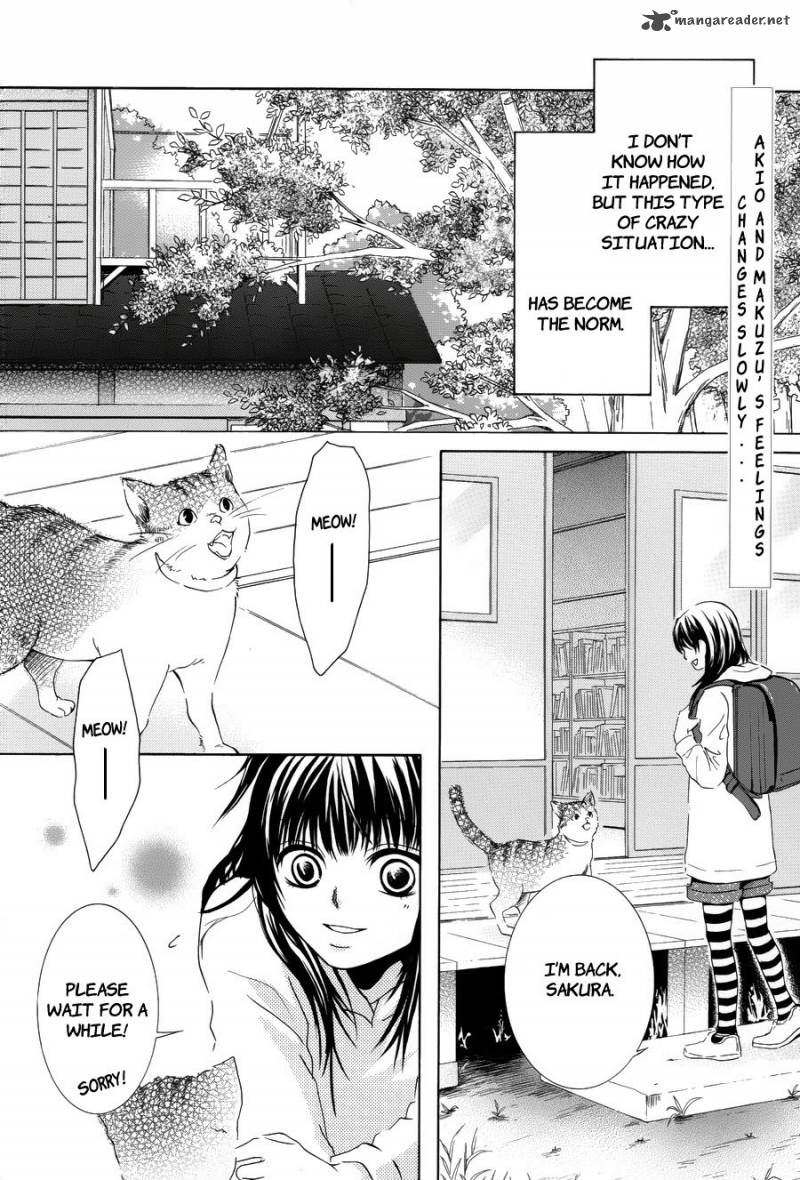 Kore Wa Koi No Hanashi 5 3
