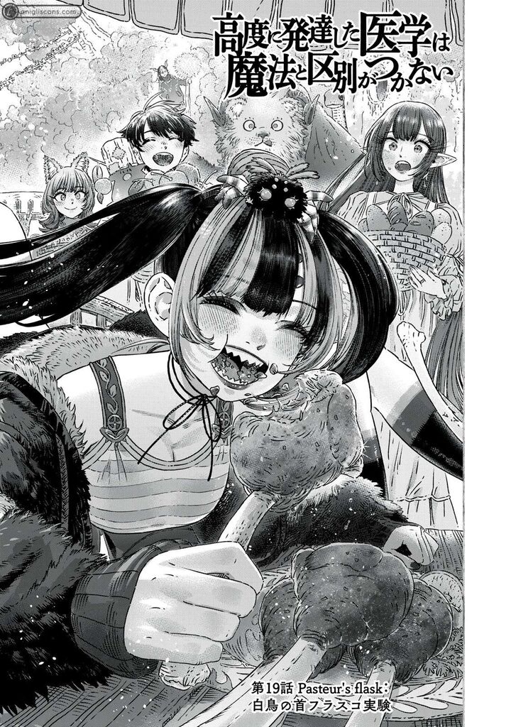 Koudou Ni Hattatsu Shita Igaku Wa Mahou To Kubetsu Ga Tsukanai 19 6