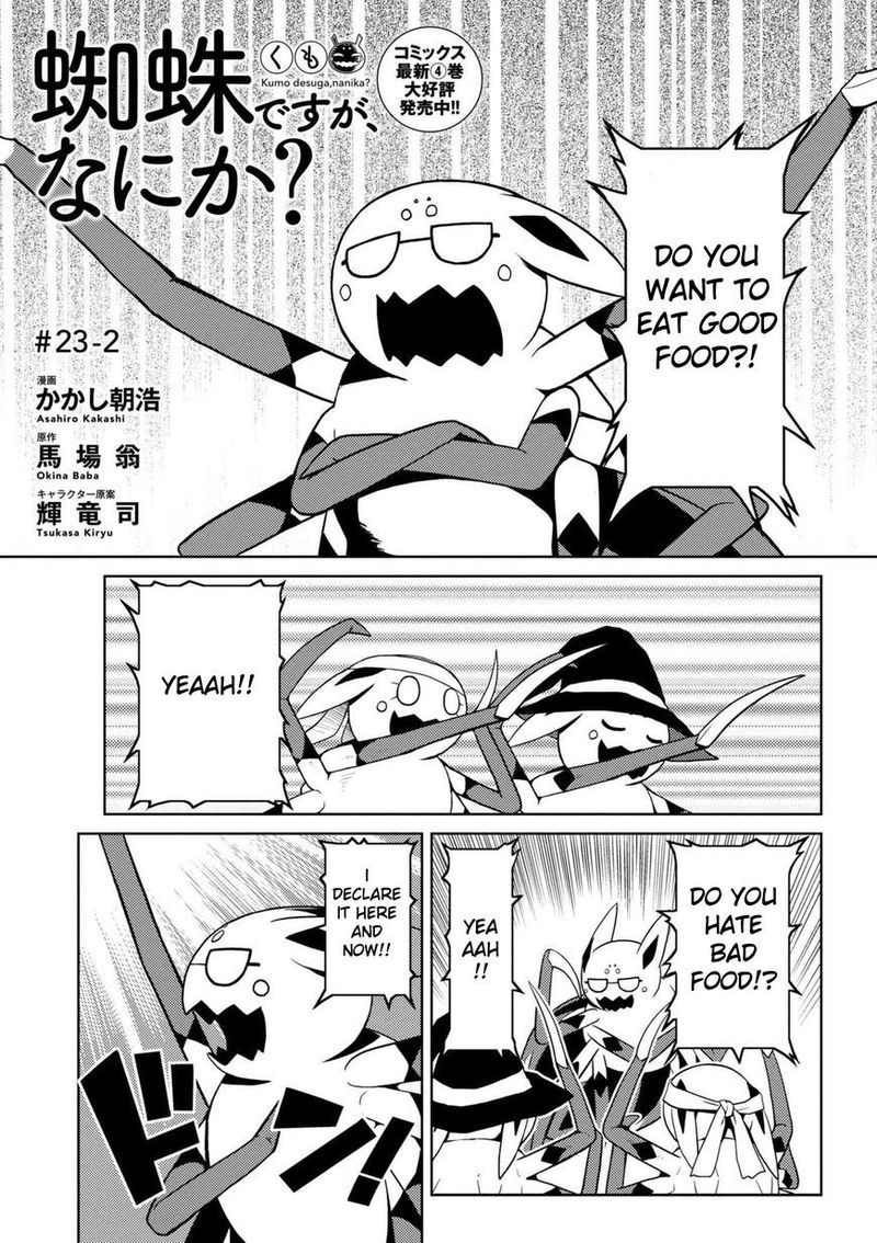 Kumo Desu Ga Nani Ka 23 17