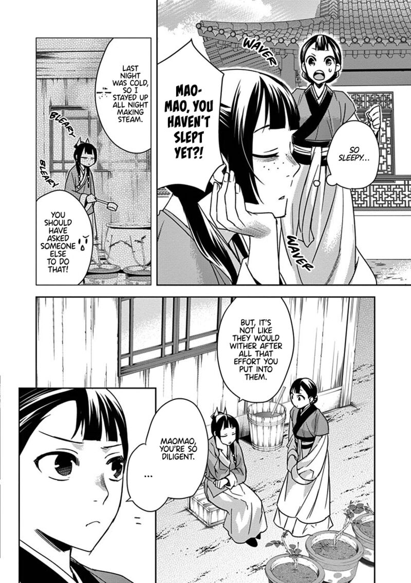 Kusuriya No Hitorigoto Maomao No Koukyuu Nazotoki Techou 27 28