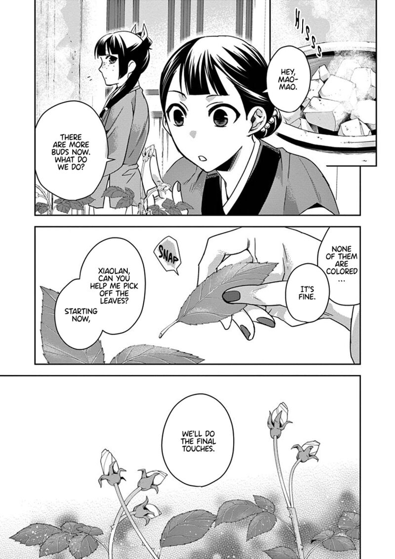 Kusuriya No Hitorigoto Maomao No Koukyuu Nazotoki Techou 27 33