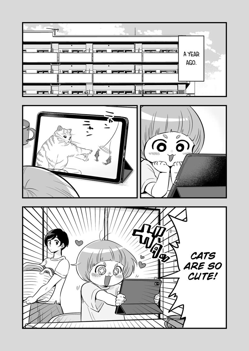 Maigo Ni Natta Kaa Chan E 5 3