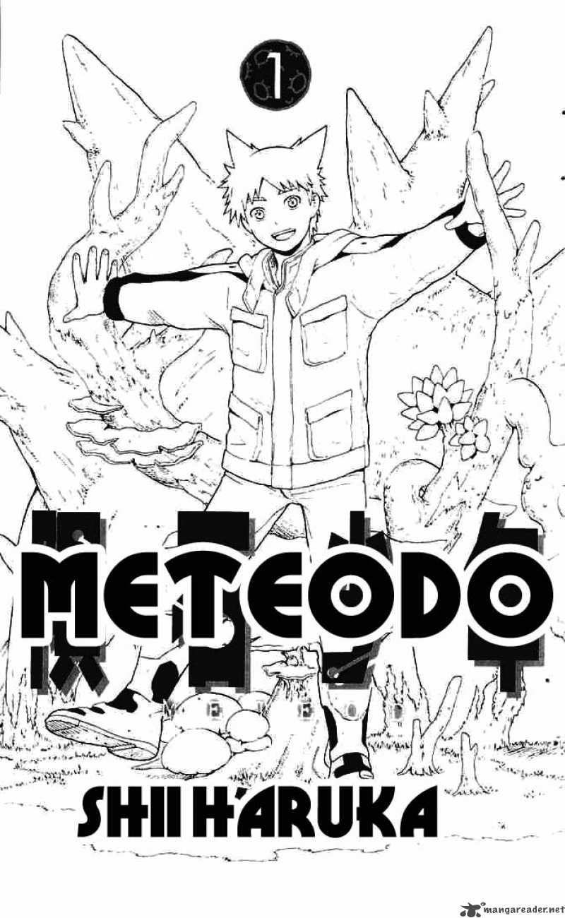 Meteodo 1 2