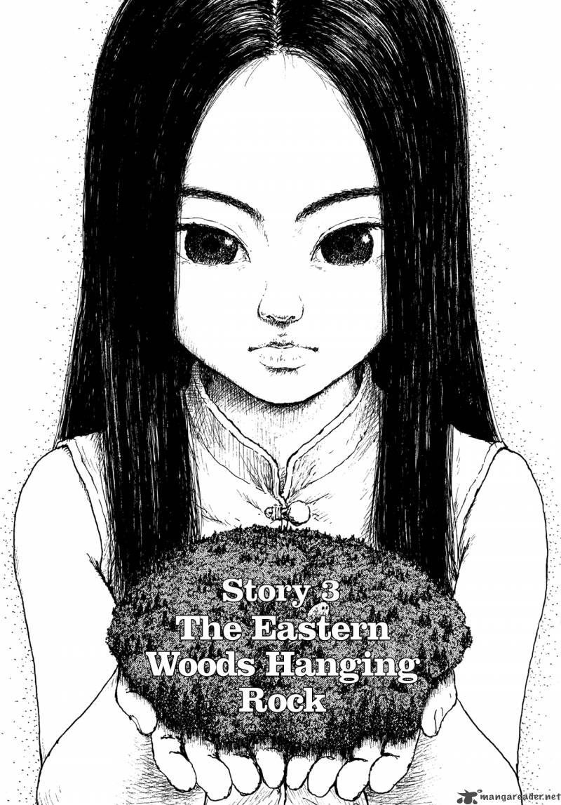 Miyoris Forest 3 1